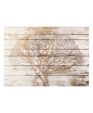 Fototapetas  Tree on Boards