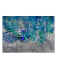 Lipnus fototapetas  Peacock Feathers