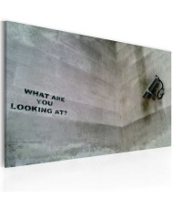 Paveikslas  What are you looking at? (Banksy)