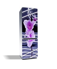 Magnetinis lipdukas šaldytuvui