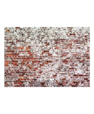 Fototapetas  Her Highness The Brick