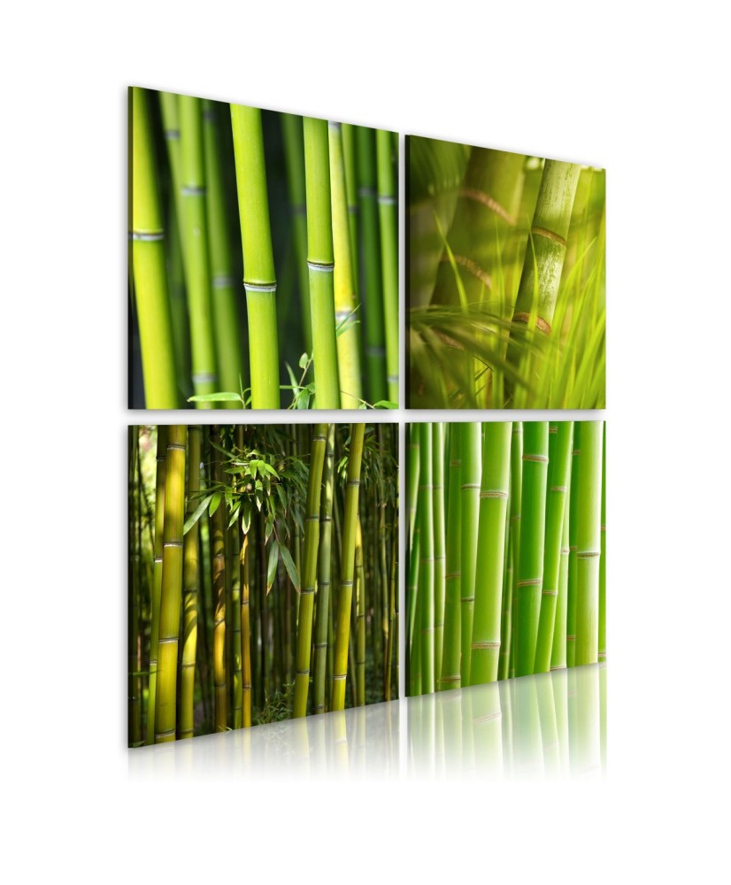 Paveikslas  Bamboos
