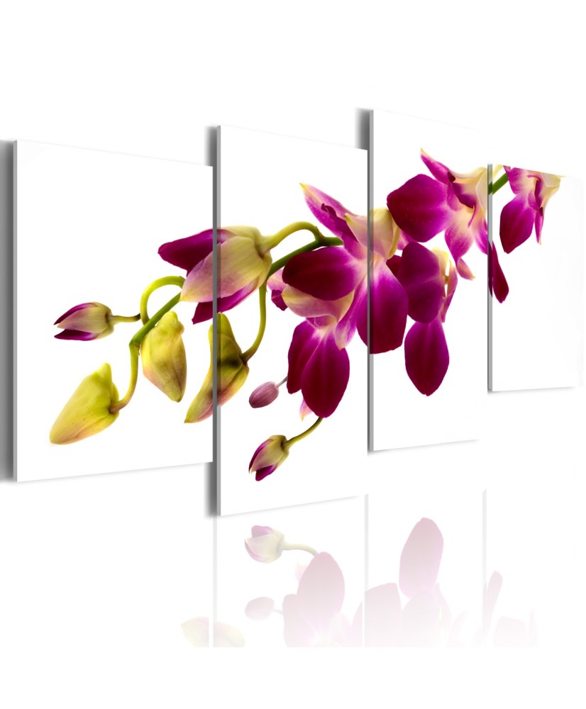 Paveikslas  Orchids glow