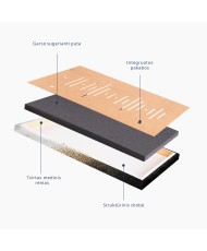 Paveikslas Aguonos plakamos vėjo