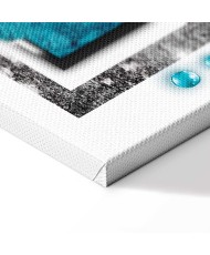 Paveikslas Turkio pūga