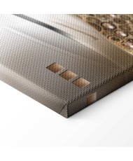 Paveikslas Auksinis skrydis