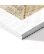 Paveikslas Augimo pradžia