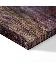 Paveikslas Auksinė karštligė