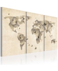 Paveikslas  Atlas of butterflies  triptych