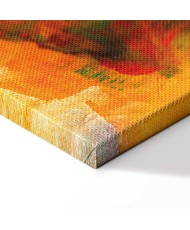 Paveikslas Laukinių spalvų sprogimas