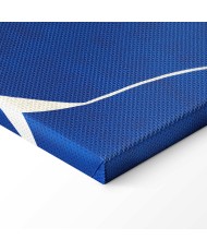 Paveikslas Mėlynas moteriškumas