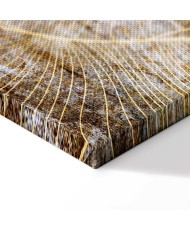 Paveikslas Prabangos magija