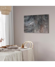 Paveikslas Pilka plunksna