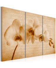 Paveikslas  orchid (vintage)