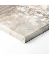 Paveikslas Žiemos princesė