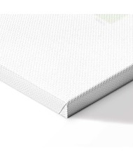 Paveikslas Pastelinis grožis