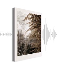 Paveikslas Sepijos parkas