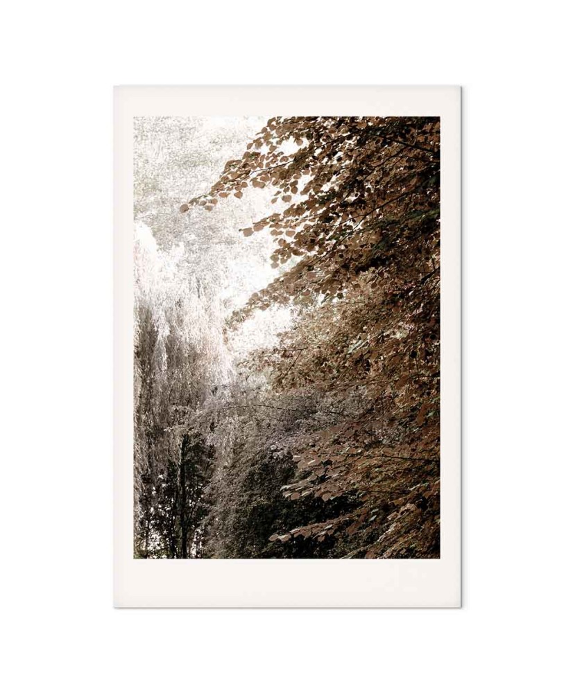 Paveikslas Sepijos parkas