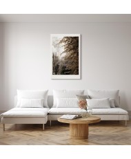 Paveikslas Sepijos parkas