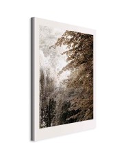 Paveikslas Sepijos parkas