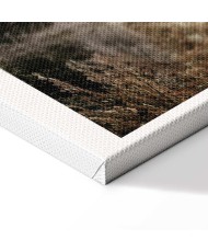 Paveikslas Sepijos parkas