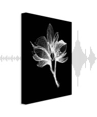 Paveikslas Nakties gėlė