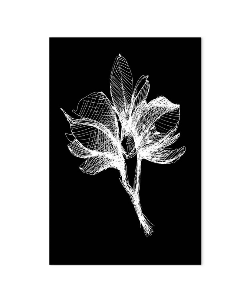 Paveikslas Nakties gėlė