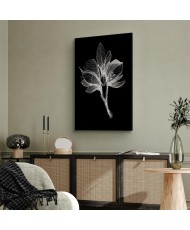 Paveikslas Nakties gėlė