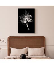 Paveikslas Nakties gėlė