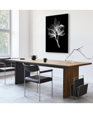 Paveikslas Nakties gėlė