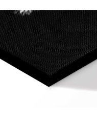 Paveikslas Nakties gėlė