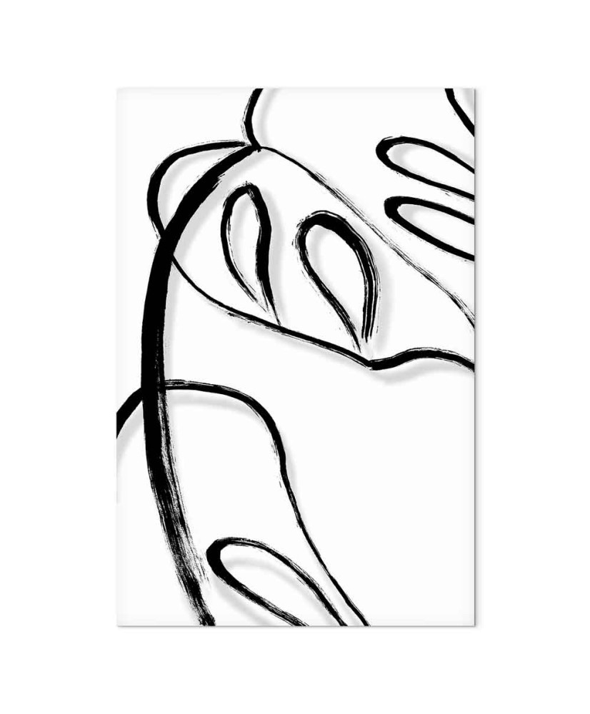 Paveikslas Balta Monstera