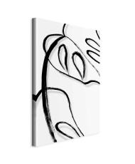 Paveikslas Balta Monstera