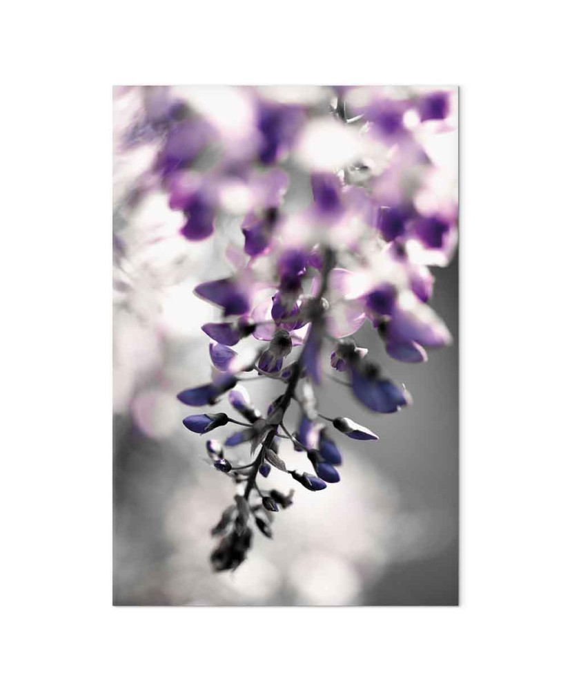 Paveikslas Violetinis skambutis