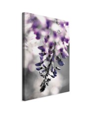 Paveikslas Violetinis skambutis