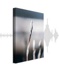 Paveikslas Botaninins minimalizmas