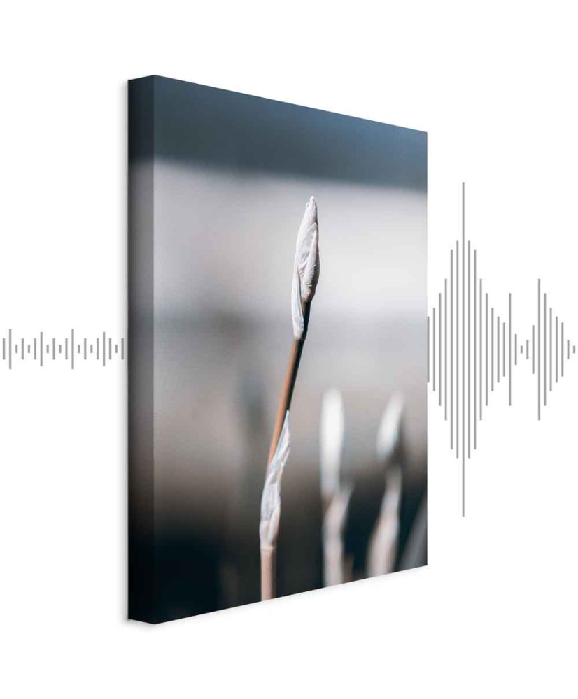 Paveikslas Botaninins minimalizmas