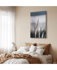 Paveikslas Botaninins minimalizmas