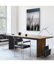 Paveikslas Botaninins minimalizmas