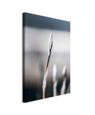 Paveikslas Botaninins minimalizmas