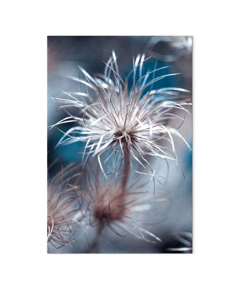 Paveikslas Mėlyna augmenija