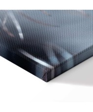 Paveikslas Mėlyna augmenija