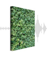 Paveikslas Apkūni gebenė