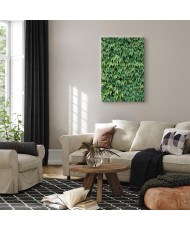 Paveikslas Apkūni gebenė