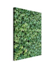 Paveikslas Apkūni gebenė