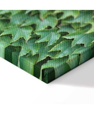 Paveikslas Apkūni gebenė