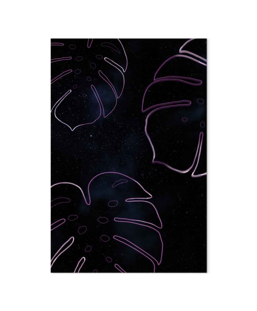 Paveikslas Galaktinė Monstera