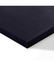 Paveikslas Netikėta Monstera