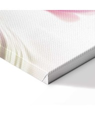 Paveikslas Rožinės magnolijos virš vandens