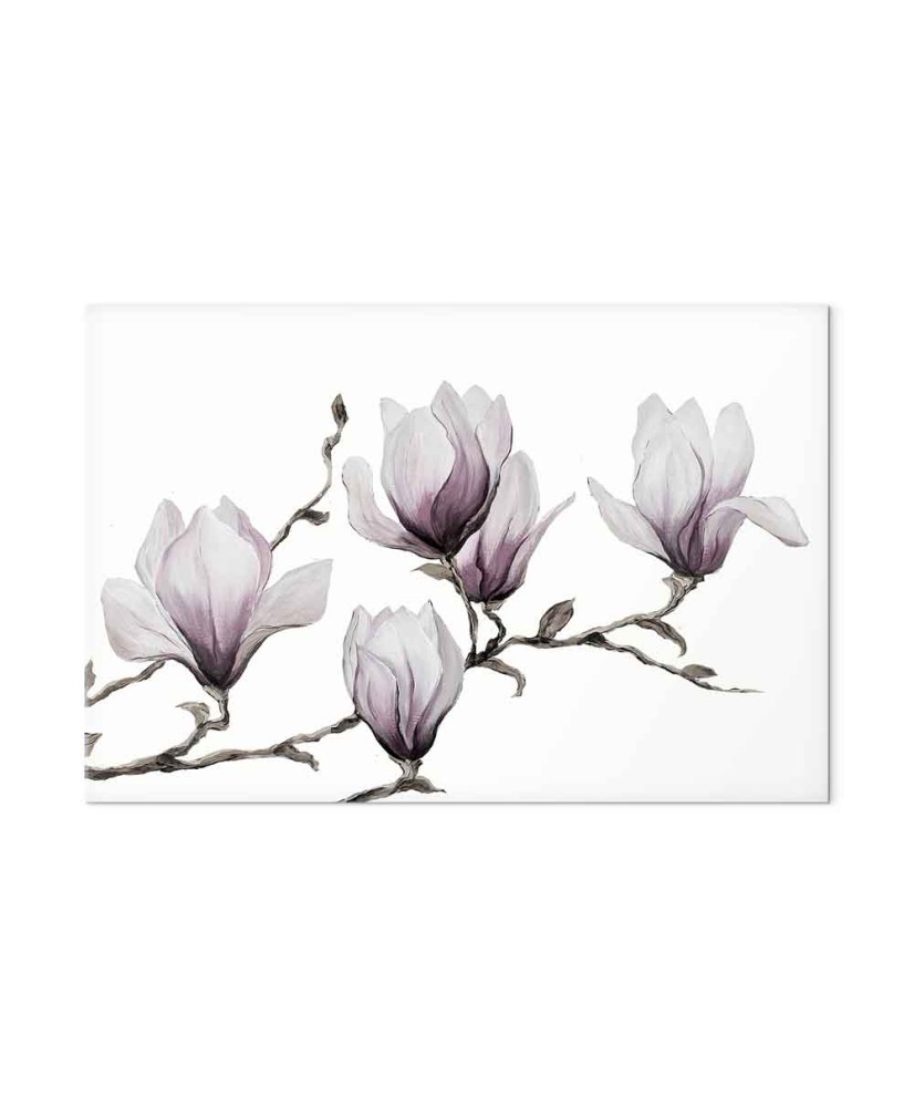 Paveikslas Tapytos magnolijos